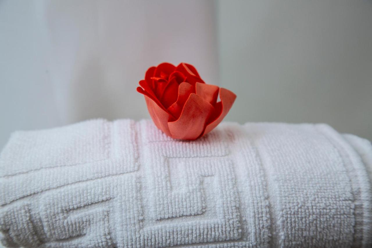 Hostal La Rosa Caces Dış mekan fotoğraf